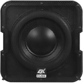 ESX Vision V1600A gesloten actieve 8 inch subwoofer kist 150 watts RMS