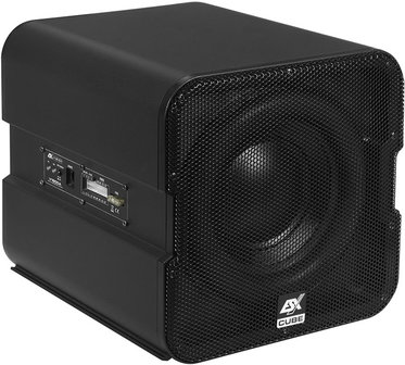 ESX Vision V1600A gesloten actieve 8 inch subwoofer kist 150 watts RMS