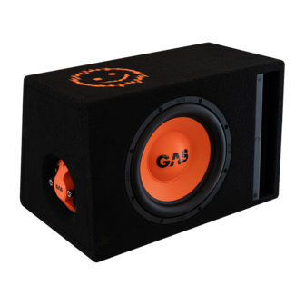 GAS AUDIO MAD B2-110 bassreflex subwoofer kist 10 inch 300 watts RMS 4 ohms