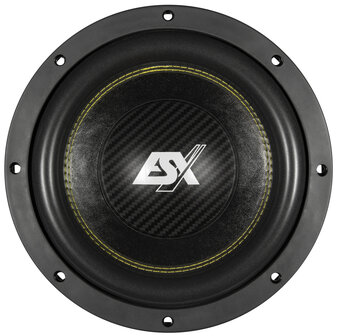 ESX Quantum QXE10D2 subwoofer 10 inch 600 watts RMS DVC 2 ohms