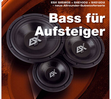 ESX Signum SXE12D2 subwoofer 12 inch 500 watts RMS DVC 2 ohms inclusief grille