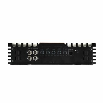 Reiss Audio RS-D2500.1 mono block versterker 2500 watts RMS 1 ohms