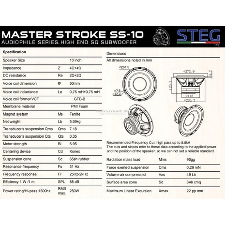 STEG Master Stroke SS-10 high end subwoofer 10 inch 250 watts RMS DVC 4 ohms