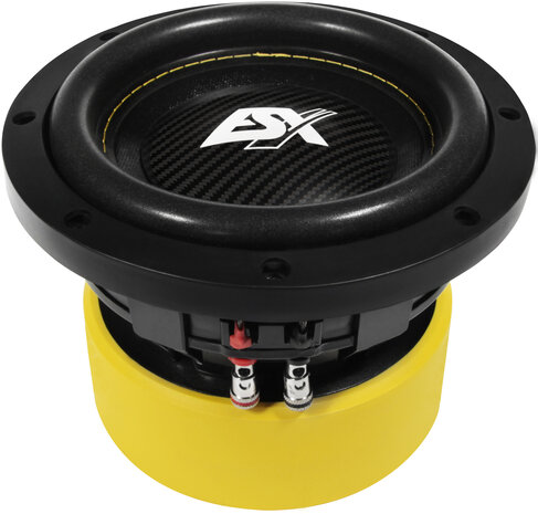 ESX Quantum QXE6D2 subwoofer 6,5 inch 250 watts RMS DVC 2 ohms