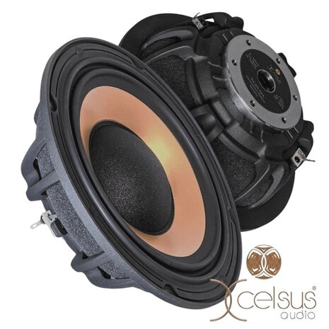 Xcelsus XXM875
