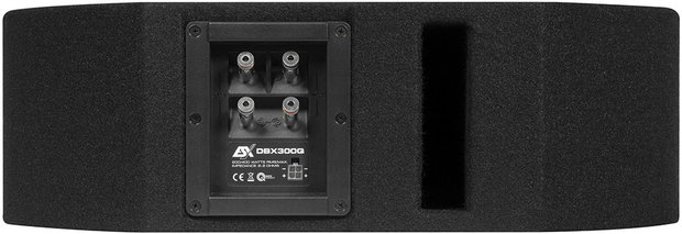 ESX DBX300Q reservewiel bassreflex kist 200 watts RMS DVC 2 ohms