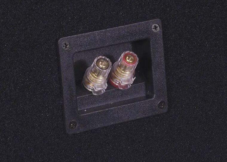 Auto-Connect VE212PRB lege gepoorte subwoofer kist 2 x 12 inch circa 116 liters