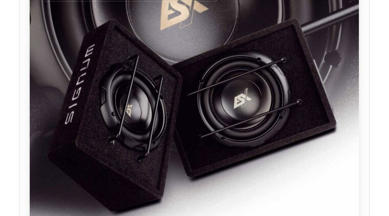 ESX Signum SXB10A actieve gesloten 10 inch subwoofer kist 325 watts RMS