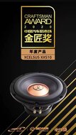 Xcelsus Competition XXS10 subwoofer 10 inch 350 watts RMS DVC 4 ohms