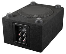 ESX DBX200Qv2 "downfire" bassreflex kist 8 inch 250 watts RMS DVC 2 ohms