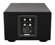 ESX DBX200Qv2 "downfire" bassreflex kist 8 inch 250 watts RMS DVC 2 ohms