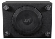 ESX DBX200Qv2 "downfire" bassreflex kist 8 inch 250 watts RMS DVC 2 ohms