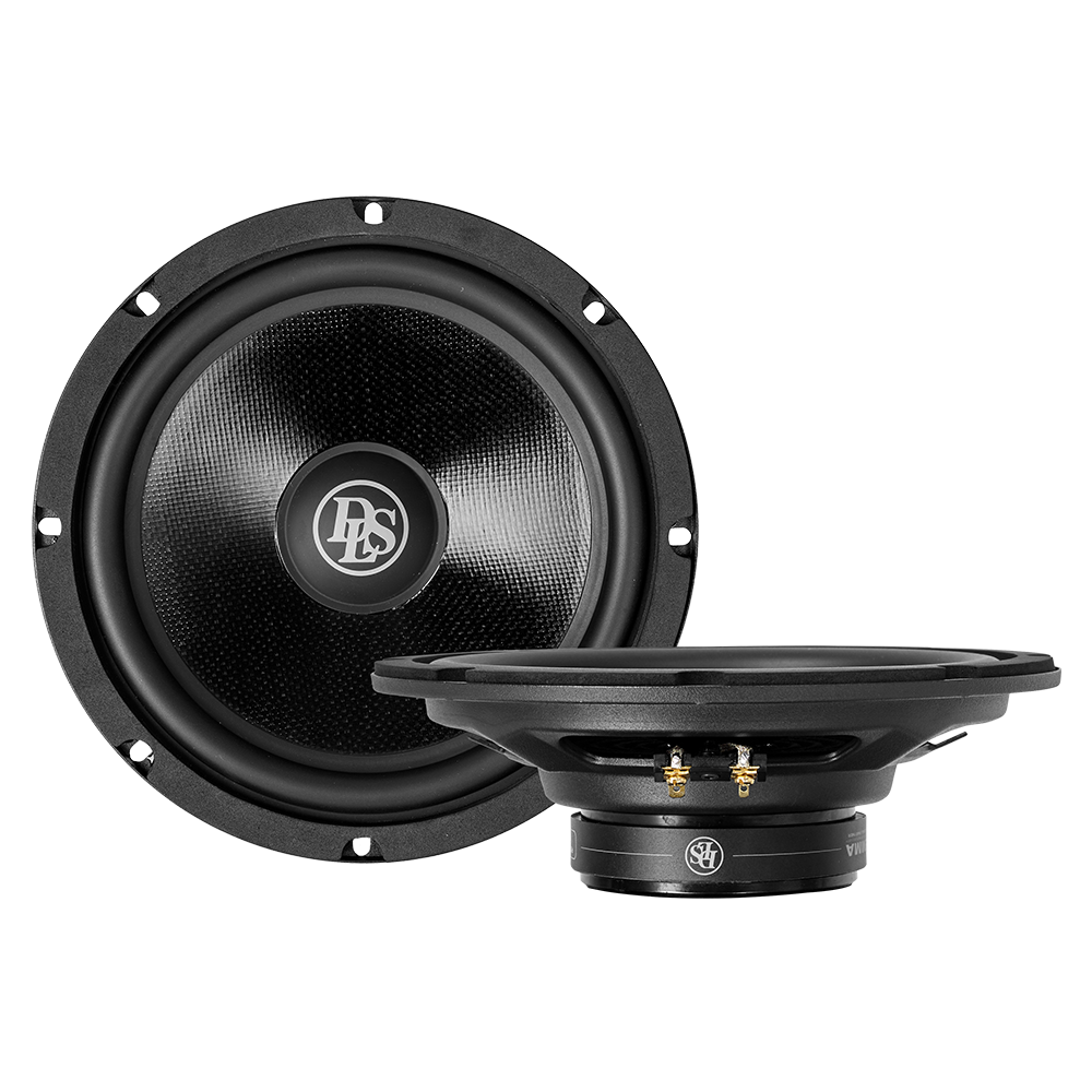 DLS Cruise CRPP-UW83