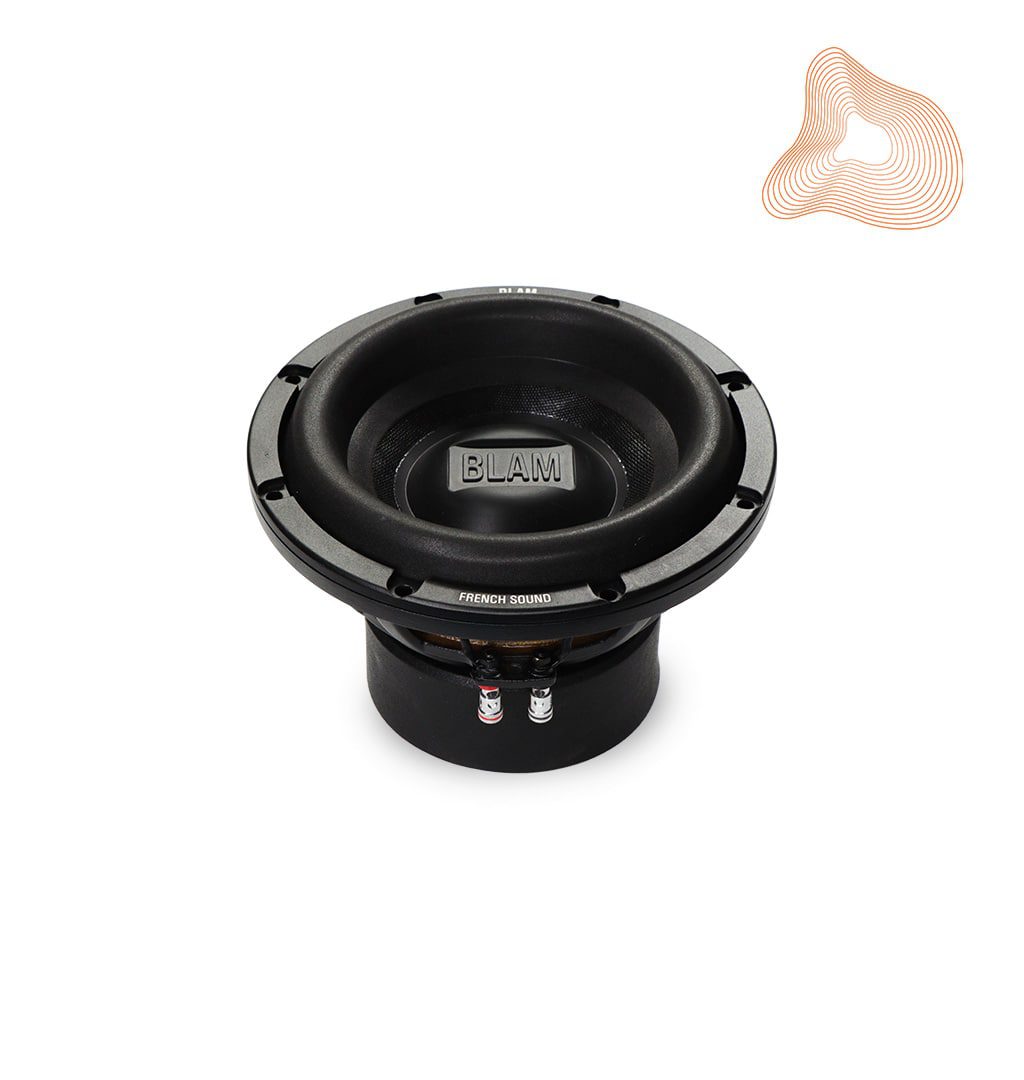 Blam Audio LIVE L20DB-PRO