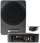 Phoenix Gold ZR10P actieve underseat subwoofer 200 watts RMS Phoenix Gold ZR10P actieve underseat subwoofer 200 watts RMS